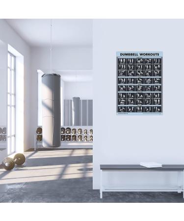 Palace Learning Dumbbell Exercise Poster - Laminated 18x24 | Perfect for Home Office Fitness - Buy Online on GoSupps.com
