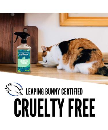 Aunt Fannieâ€™s Eucalyptus All-Purpose Cleaning Vinegar 16.9 fl oz - Natural & Eco-Friendly Cleaner - Buy Online on GoSupps.com