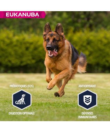 Eukanuba Dog Dry Food German Shepherd Chicken 12 kg - Buy Online on GoSupps.com