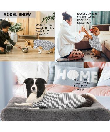 Sychien Dog T-Shirt 2-Pack - Soft Combed Cotton Breathable & Sun Protection - Large Gray-White Striped Shirt for Boys Girls & Dogs - Buy Online on GoSupps.com