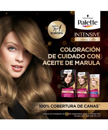 Tinte Schwarzkopf Palette Intense Color Cream n 1.1 Negro Azulado - Buy Online on GoSupps.com