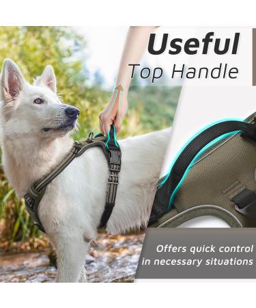 Eagloo Large Dog Harness for Training | Adjustable Anti-Pull Harness with Reflex Strips | Chest Harness for Labrador & Large Breeds | Brown XL (1 Pack) - Buy Online on GoSupps.com