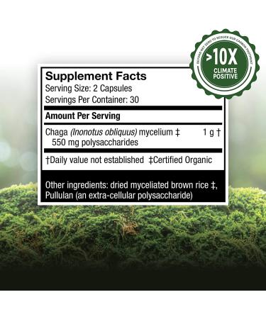 Fungi Perfecti Chaga Mushroom Capsules - 60 Vegetarian Supplements for Immune Support - Buy Online on GoSupps.com