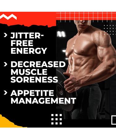 Shell Shock Weight Management Formula - All-Natural Supplement with L-Carnitine, Apple Cider Vinegar, Matcha Green Tea & More - 160 Pills - Buy Online on GoSupps.com