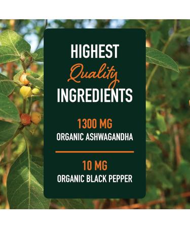 Ashwagandha Supplement 1300mg for Stress Resistance & Energy Boost | High Absorption Adaptogen from Root Powder with Black Pepper | Stress-Related Fatigue Support | Non-GMO | 120ct 2-Month Supply - Buy Online on GoSupps.com