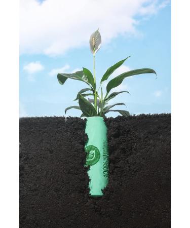 Buy 150 Biodegradable Kitchen Waste Bags for Compost Bins - 6L 8L & 10L | EN13432 Certified Eco-Friendly Bags - Buy Online on GoSupps.com