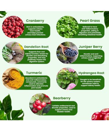 Kidney Cleanse Detox & Repair | Extra Strength 50:1 Cranberry Extract | 22-in-1 Kidney Health Supplement for Detox & Bladder Support - Buy Online on GoSupps.com