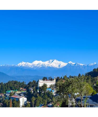 ZYANNA Darjeeling Tea First Flush - 100g Single Estate Whole Leaf Black Tea with Floral Notes | Teesta Valley Tea Estate - Buy Online on GoSupps.com