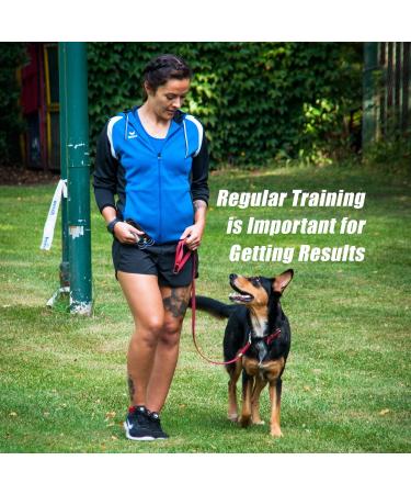 BarxBuddy Anti Barking Control Device - Ultrasonic Sound with LED Lights and Strap - Safe for All Breeds & Ages - Buy Online on GoSupps.com