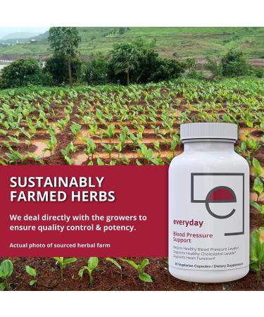 Natural Blood Pressure Support with Magnesium & Hawthorn - 60 Capsules for Heart Health & Hypertension - Buy Online on GoSupps.com