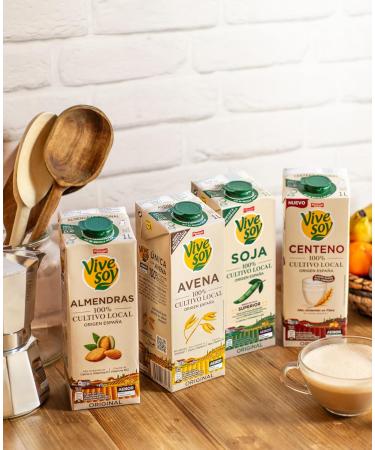 Pascual Vivesoy Soy Bebida 1L 100% Vegetal - Buy Online on GoSupps.com