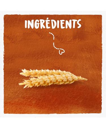 BJORG - Organic Wholemeal Wheat Toast - Palm Oil Free - Source Of Fiber - 250g Packaging May Vary - Buy Online on GoSupps.com