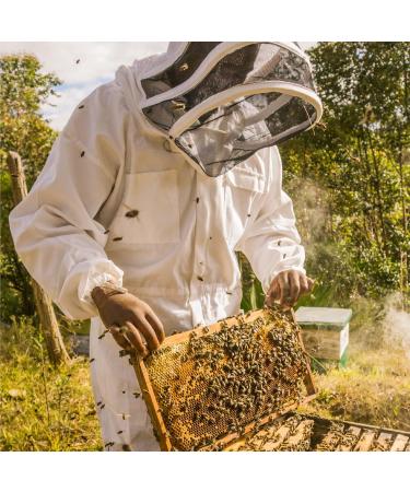 Ilanga Nature - Organic Eucalyptus Honey - 100% Pure - 5 kg - Family Size - Madagascar Honey - Buy Online on GoSupps.com