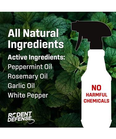 Exterminators Choice Small Rodent Defense Spray (32 oz) - Effective Pest Control Solution - Buy Online on GoSupps.com