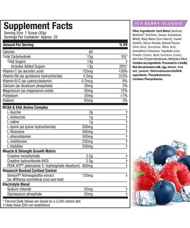 Muscletech Cell Tech Elite Icy Berry Slushie â€“ 1.31 lbs (594g) | Boost Muscle Recovery & Growth - Buy Online on GoSupps.com
