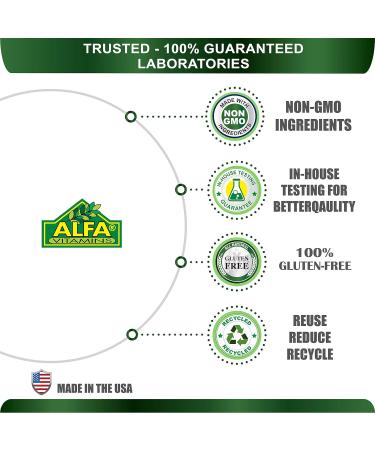 ALFA VITAMINS Magnesium Plus B-6 500mg Capsules for Cardiovascular Health and Energy Production - 100ct - Buy Online on GoSupps.com