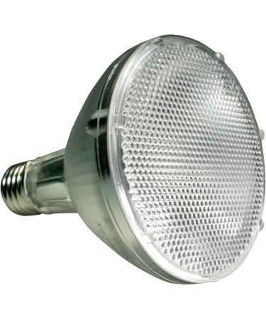 Buy Lucky Reptile 70W UV Jungle & Desert Metal Stamping Lamps - E27 Daylight Spectrum with UVA & UVB Radiation - International Shipping Available - Buy Online on GoSupps.com