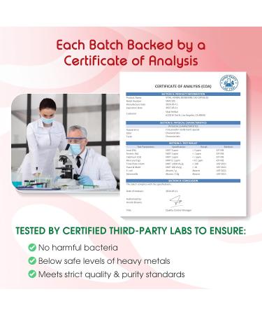 Liposomal Berberine with Cinnamon & Turmeric Supports Digestion & Immune Health 150 Capsules 150 count (pack of 1) - Buy Online on GoSupps.com