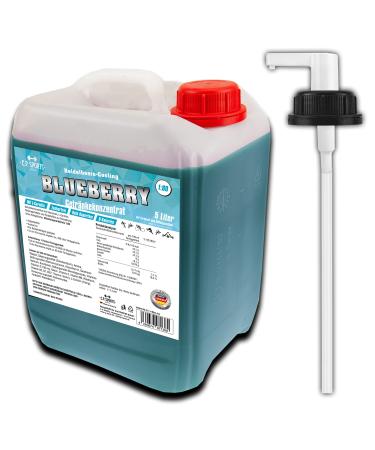 C.P.Sports beverage syrup for mineral drink i syrup sugar-free for vital drink blueberry with vitamins i beverage concentrate for mixing with water for sports drink i 5 liter + pump dispenser Blueberry 5 l (1 Pack)