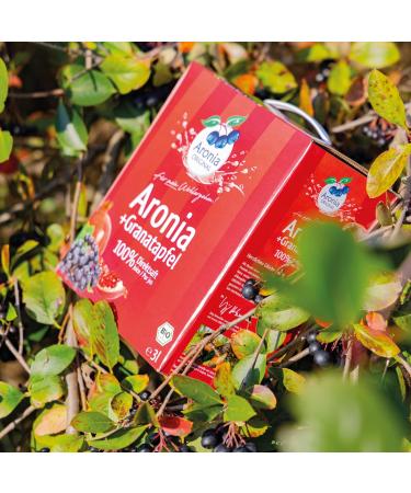 Aronia Original Organic Pure Juice + Pomegranate 100% Organic in 3 L Box - Buy Online on GoSupps.com