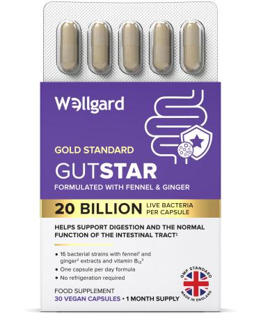 Wellgard Gutstar Probiotics - 16 Strain Probiotics for Gut Health with Fennel and Ginger Vegan UK Made