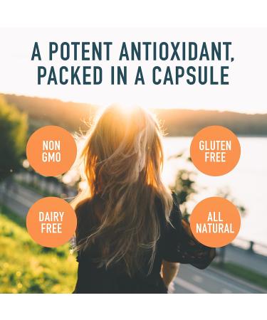 Organika Milk Thistle 250 Mg 220 vcaps + NAC (N-Acetyl-L-Cysteine) 500mg 180caps | Liver Support Bundle 220 Count (Pack of 1) Seed + Levels 180caps - Buy Online on GoSupps.com