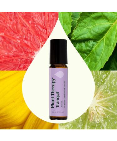 Plant Therapy Tranquil Essential Oil Blend 10 mL (1/3 oz) 100% Pure Pre-Diluted Roll-On Natural Aromatherapy Excellent for Meditation and Relaxation - Buy Online on GoSupps.com