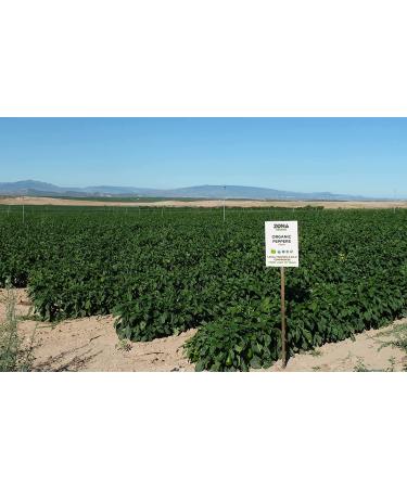 Zona Organic Spanish Fire Roasted Piquillo Peppers 6.5 oz - Pack of 2 | 6.52 Ounce | Premium Quality Peppers - Buy Online on GoSupps.com