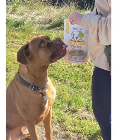 Chicken Freeze Dried Dog Treat Training Topper All Natural 1 Ingredient 50 gram - Buy Online on GoSupps.com