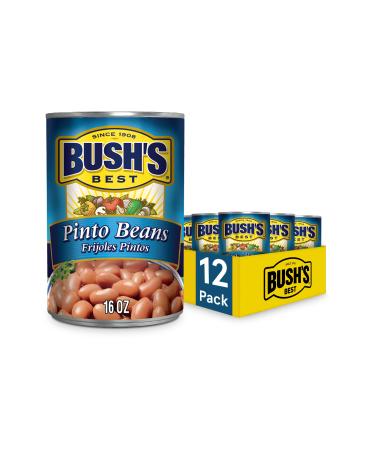 BUSH'S BEST Canned Pinto Beans (Pack of 12), Source of Plant Based Protein and Fiber, Low Fat, Gluten Free, Great For Soups, Salads and More, 16 oz