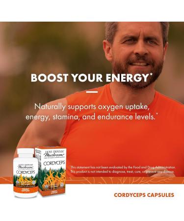 Host Defense Cordyceps Capsules - Immune & Energy Support Supplement - Kidney Health Supplement with Cordyceps - Fitness Support Supplement to Aid Oxygen Uptake - 120 Capsules (60 Servings)* 120 Count (Pack of 1) - Buy Online on GoSupps.com
