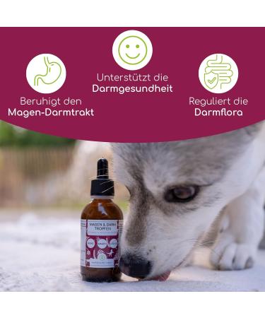 Natural Gastrointestinal Drops for Dogs | Fast & Reliable | With Probiotics & Milk Thistle Oil for Acute & Frequent Gastrointestinal Disorders - Buy Online on GoSupps.com