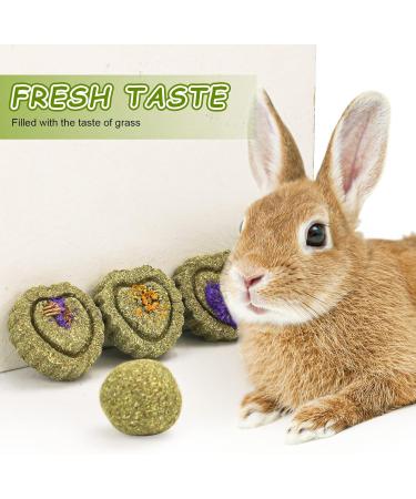 20Packs Small Animal Chew Toys Hamster Timothy Grass Cakes and Balls Bunny Pet Tooth Chew Toys Pet Snacks Toys for Rabbits Chinchilla Hamsters Guinea Pigs Gerbils Mini Macaws Parrots (Style-3) - Buy Online on GoSupps.com