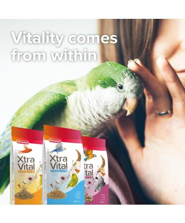 BEAPHAR XTRAVITAL Premium Food for Parrots Contains Fruits Seeds and Egg Pate Strengthens the System - Buy Online on GoSupps.com