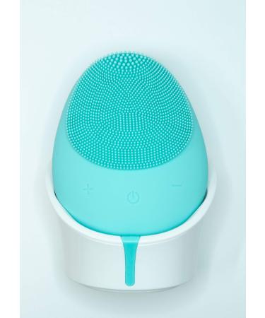 SYL Swan Egg Shape Wireless Silicone Facial Cleansing Brush Cleanser & Massager Silicone Vibrating IPX6 Waterproof Facial Cleansing (Turquoise)