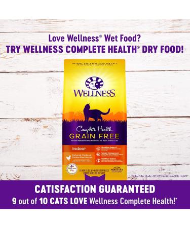 Wellness Healthy Indulgence Natural Grain Free Wet Cat Food - Chicken & Turkey Morsels 3oz Pouch (Pack of 24) - Buy Online on GoSupps.com