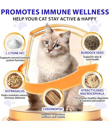 Lysine for Cats L-Lysine for Cat Immune Support Allergy Relief Sneezing & Runny Nose with Colostrum Taurine Vitamins - Roast Chicken Flavor - 60ml/2oz - Buy Online on GoSupps.com