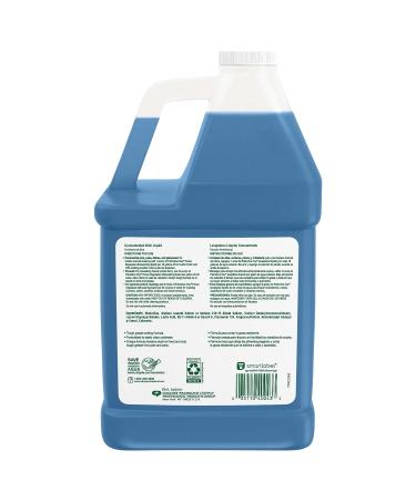 Palmolive 40043 OXY Power Degreaser for Pots and Pans - 1 Gallon Bottle - Pack of 1 - Buy Online on GoSupps.com