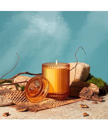 La Jolie Muse Sandalwood & Patchouli Scented Candle - Luxury Glass Jar Candle Gift for Home Decor - 80 Hours Long Burning - 12.3oz - Buy Online on GoSupps.com
