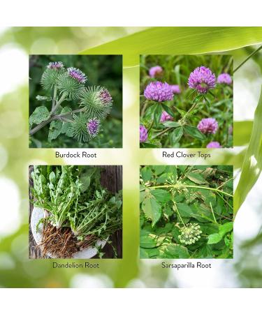 Nature's Sunshine BP-X Capsules | Supports Intestinal Digestive, Hepatic Health | Liver, Gallbladder, Bowel Function Support - Buy Online on GoSupps.com