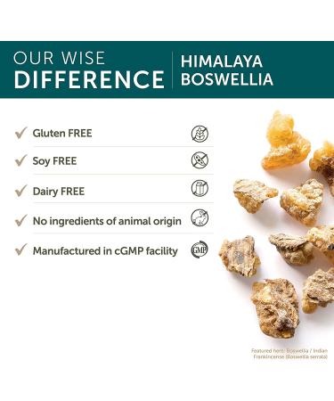 Himalaya Boswellia - 60 Vegetarian Capsules for Joint Health & Inflammation Relief - Buy Online on GoSupps.com