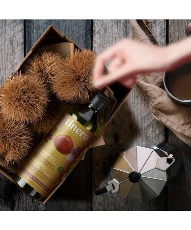  sarcia.eu ITINERA Shampoo for Damaged Hair with Tuscan Chestnut from the Hills 95% Natural Ingredients 370ml Pack of 3 - Buy Online on GoSupps.com