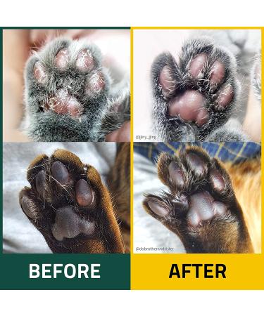 Breezytail PetOCera Itchy Skin Relief Cream for Cats - Soothing Paw Balm | Dermatitis Solution for Dry & Sensitive Skin | 1.35oz - Buy Online on GoSupps.com
