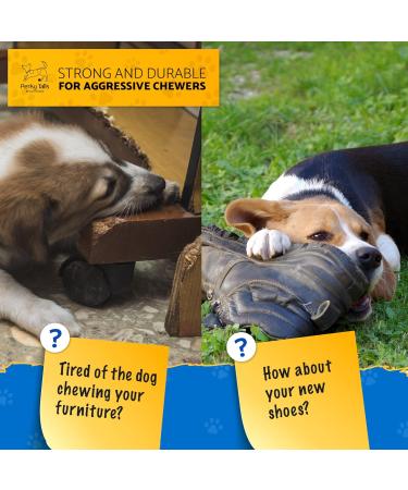 Extra Strong Indestructible Dog Toys for Large Dogs - Bacon Flavoured Chew Toy for Extreme Chewers and Puppies - Buy Online on GoSupps.com