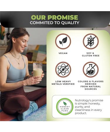 Nutrology Greens & Fruits Powder-Naturally Sourced Superfood Beet Powder Mushroom Blend Probiotics Digestive Enzymes Fiber Antioxidants Immune Support Gluten Free - Vanilla Cinnamon - Buy Online on GoSupps.com