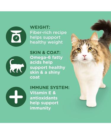 Rachael Ray Nutrish Indoor Complete Cat Food - Chicken, Lentils & Salmon 14lbs - Buy Online on GoSupps.com