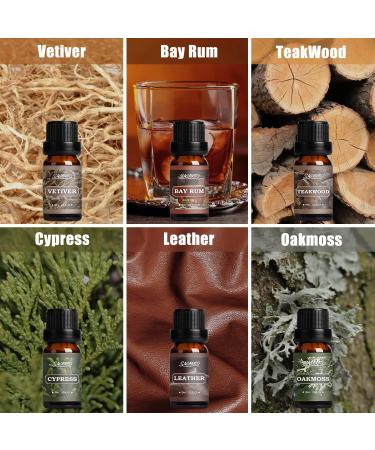 SALUBRITO Essential Oils Set For Men 12x10ml Woody Fragrance Oils For Diffuser Strong Scented Oil For Soap & Candle Making Vetiver Frankincense Sandalwood Cypress Essential Oil And More Wood-12pack - Buy Online on GoSupps.com