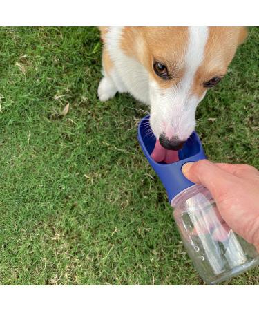 WePet Portable Dog Water Bottle with Food Container - 12 oz 19 oz - Leak Proof Puppy Water Dispenser for Outdoor Walking, Hiking, Travel - Food Grade Plastic - Navy Blue - Buy Online on GoSupps.com