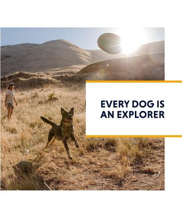 Ruffwear Omnijore Dog Joring System - Orange Poppy Large/X-Large for Skiing, Skateboarding, Biking - Buy Online on GoSupps.com