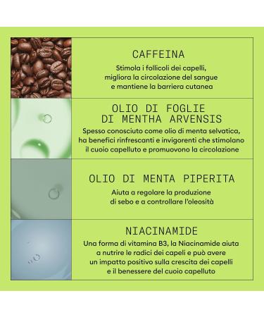 Nioxin Sistema 2 ThreePhase Kit Shampoo 300ml Conditioner 300ml Treatment 100ml advanced thinning kit - Buy Online on GoSupps.com